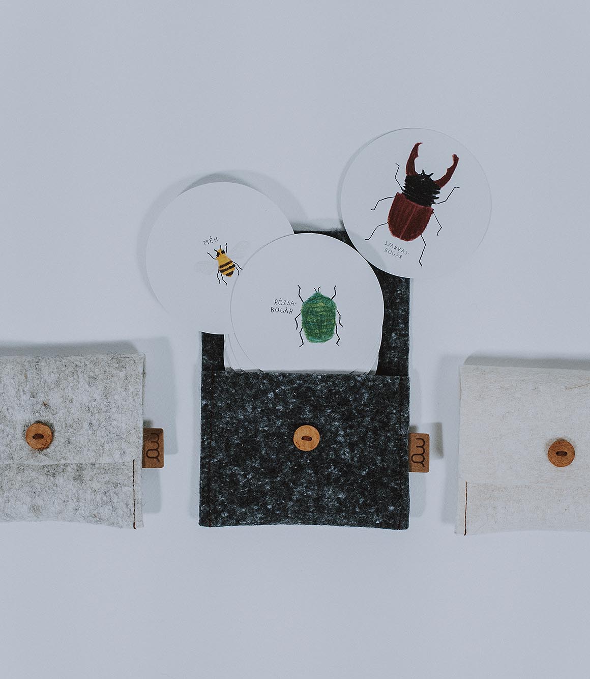 Rovargyűjtemény memóriajáték