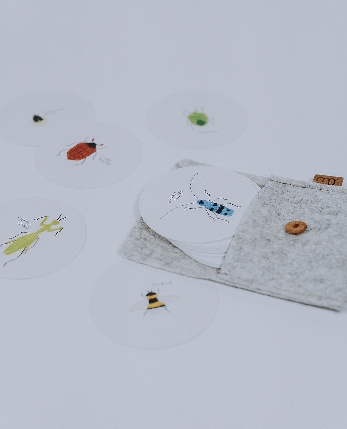 Rovargyűjtemény memóriajáték